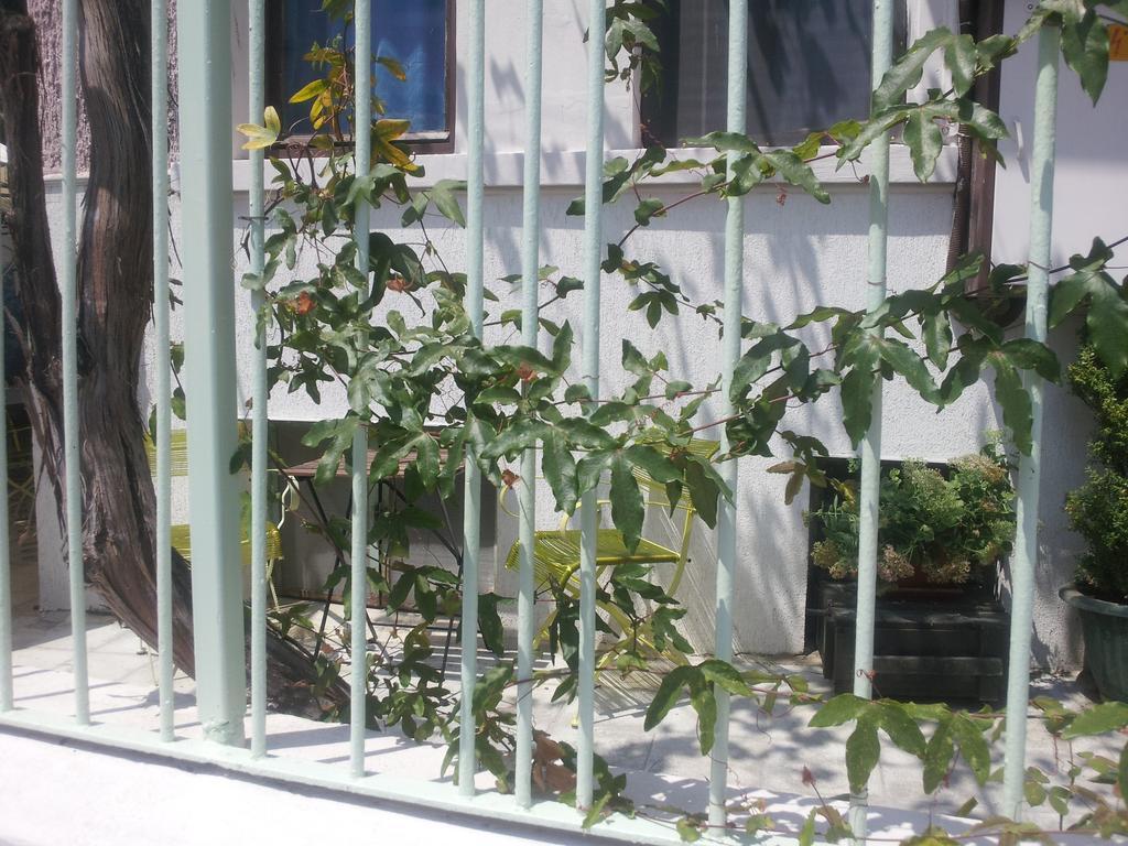 부르가스 Old House 호스텔 외부 사진